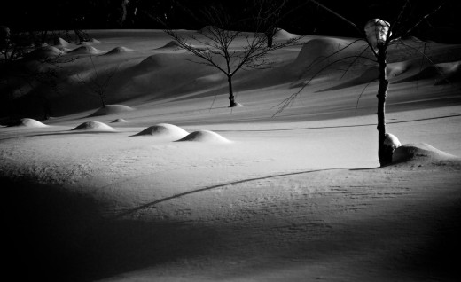 602647 (a): :1919x1172